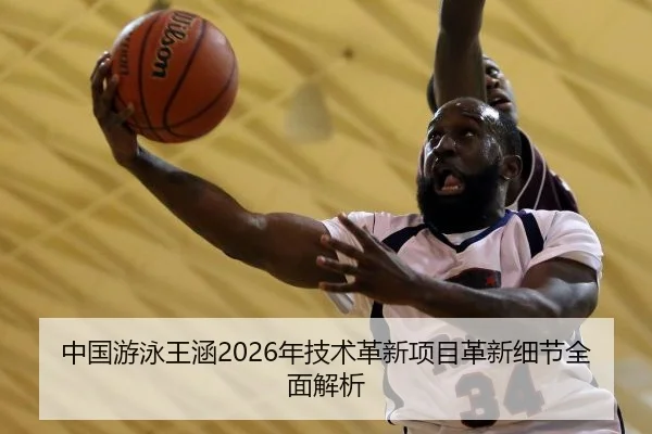 zhong-guo-you-yong-wang-han-nian-ji-shu-ge-xin-xiang-mu-ge-xin-xi-jie-quan-mian-jie-xi-2-542.jpg