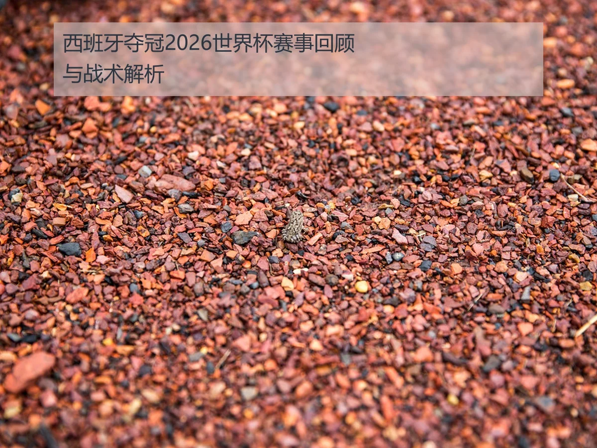 西班牙夺冠2026世界杯赛事回顾与战术解析